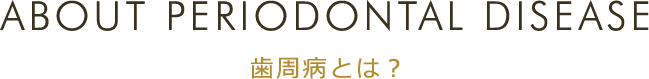 ABOUT PERIODONTAL DISEASE 歯周病とは？