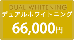 DUAL WHITENING デュアル ホワイトニング 7万円（税別）